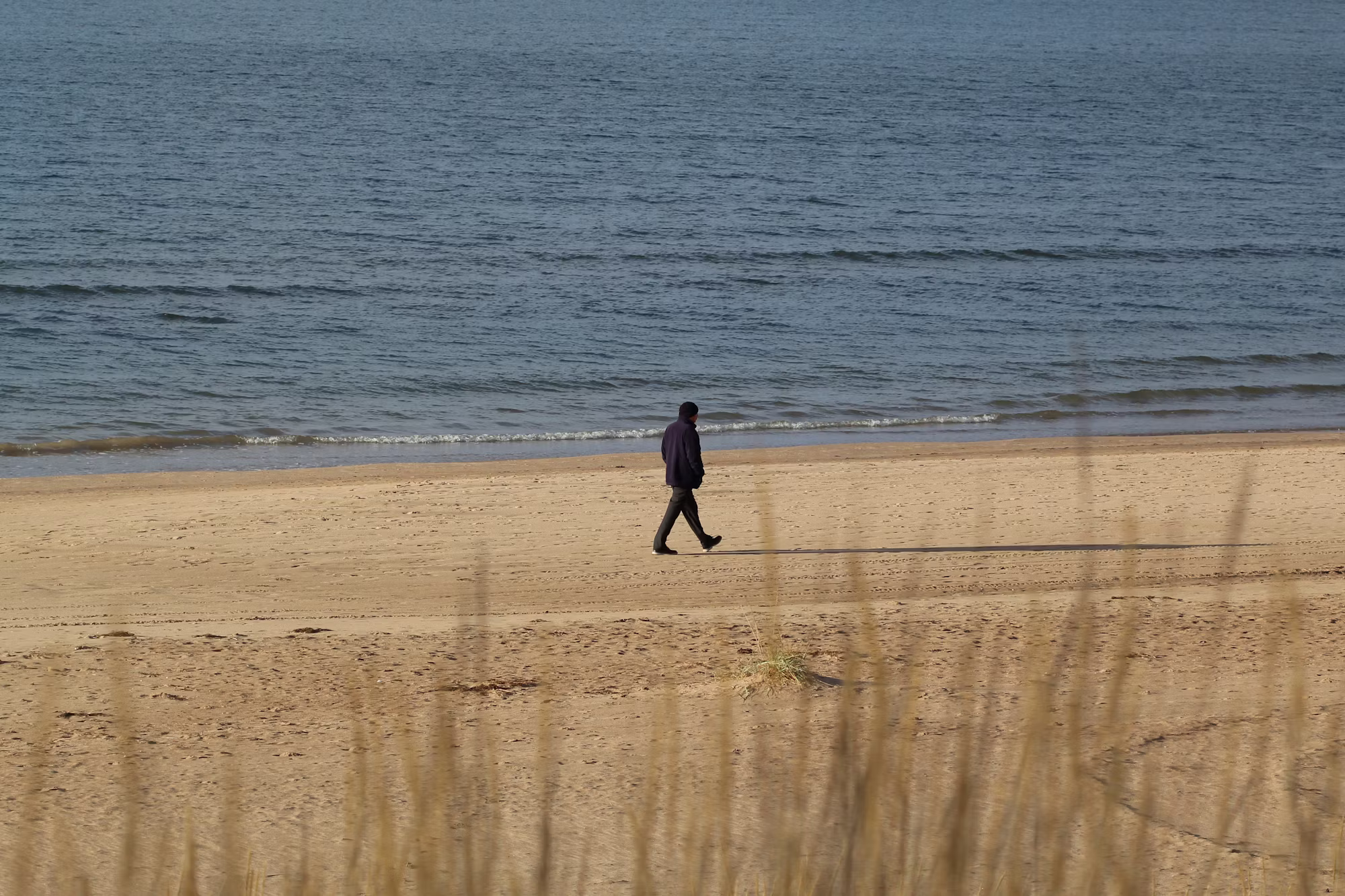 Elevate Your Fitness: Exploring Diverse Workout Styles for Optimal Health